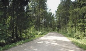 original-1348131681