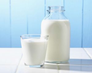 moloko-1