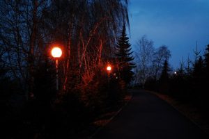 DSC_5739