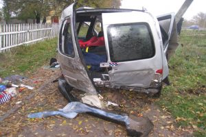 PM311image004