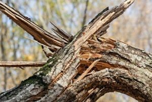 thumb_569558_news_m