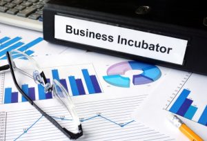 0biznesinkubator_1117