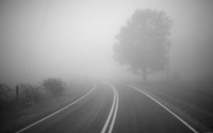 81209_1