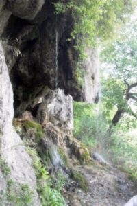 foto030118(3057)_350x0