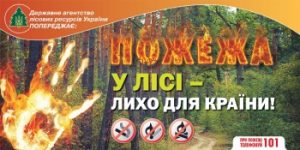 fire_forest(3120)