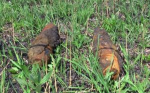 img_3624.r695x430