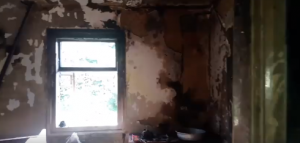 Снимок
