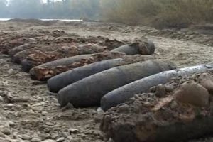 snarjdi-1