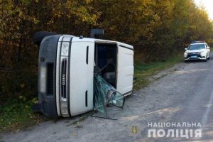 berezovyca1а