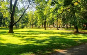 park-696x438