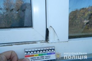 Изображение 019