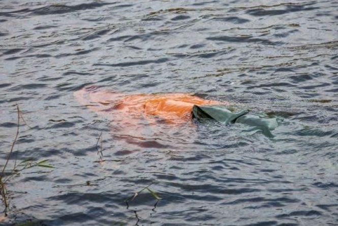 1450730-u-richtsi-poblizu-dichkova-znayshli-tilo