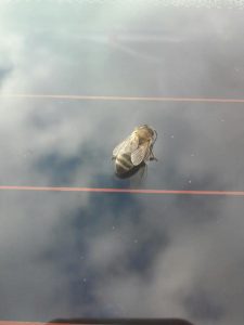 84733114_1062399517460786_3868983055079178240_n
