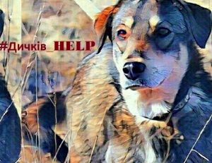 dychkiv-help-ternopil-20201