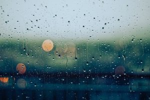 gabriele-diwald-Kwi60PbAM9I-unsplash