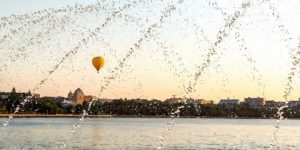 anton-marchevskyi-750x375