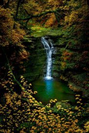 120134610_2747176428719258_344858870897001764_o-183x275