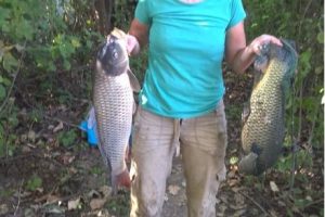 8e256d1282a7bed118ccd588450dc040