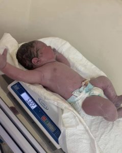 F9F085C8-2E17-4C58-8723-A0BF088FAF94