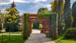 122906958_721409358455997_4835820134621129750_n