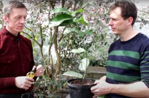 gtPfs9e2LMLqo0MJStbZGRhAD0VzeY2DtKFO8Ond