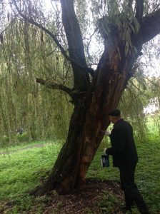 125776192_3421621204620631_1999737494980213364_o-224x300