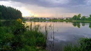 20200817_190152-700x392