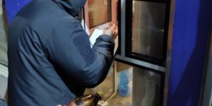 23_11nichniy-reyd1-750x375