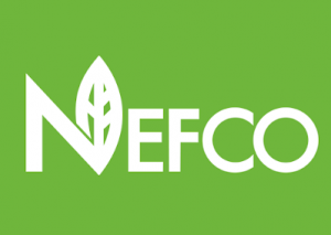 NEFCO-modernizatsiya-osvitlennya-u-ternopoli-300x213