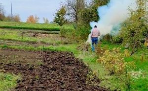 meshkanets-pronyatina-shch-zdiysnyuvav-nezakonne-spalyuvannya-opalogo-listya-splativ-shtraf-605x375