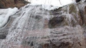 148833952_489145908780936_7456028731900433132_n