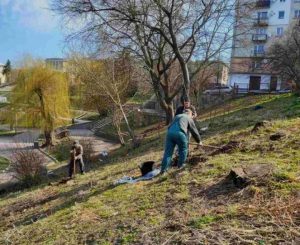 dvomisyachnik-blagoustroyu-2021