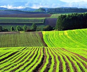 1351D201-6DE6-4D78-91C5-772EA4A22B6D