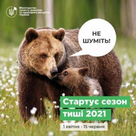 167442277_255200682911145_2728445431921854305_n-275x275