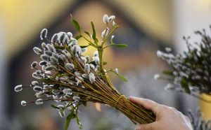 4D0A87D4-3AA0-4D0E-8FAE-5A34C0C91F9A