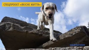 a4c3ea27-6af2-473b-944d-8f32cee852be-620x354