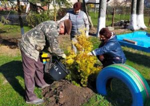 3d0d1600f5316bc8408de497b87d38eb_M