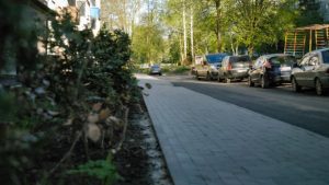 P1100657_MOV-snapshot-00_03-_2021_05_11-09_55_44_