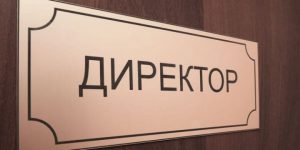 директор