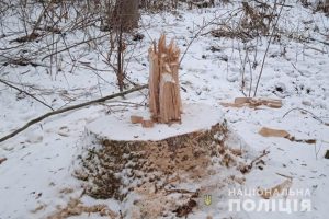 Фото: ГУНП у Тернопільській області