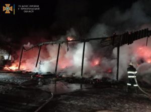 Фото: ДСНС