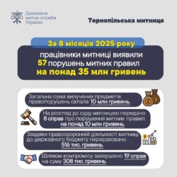 Митники виявили порушення на 35 млн грн на Тернопільщині