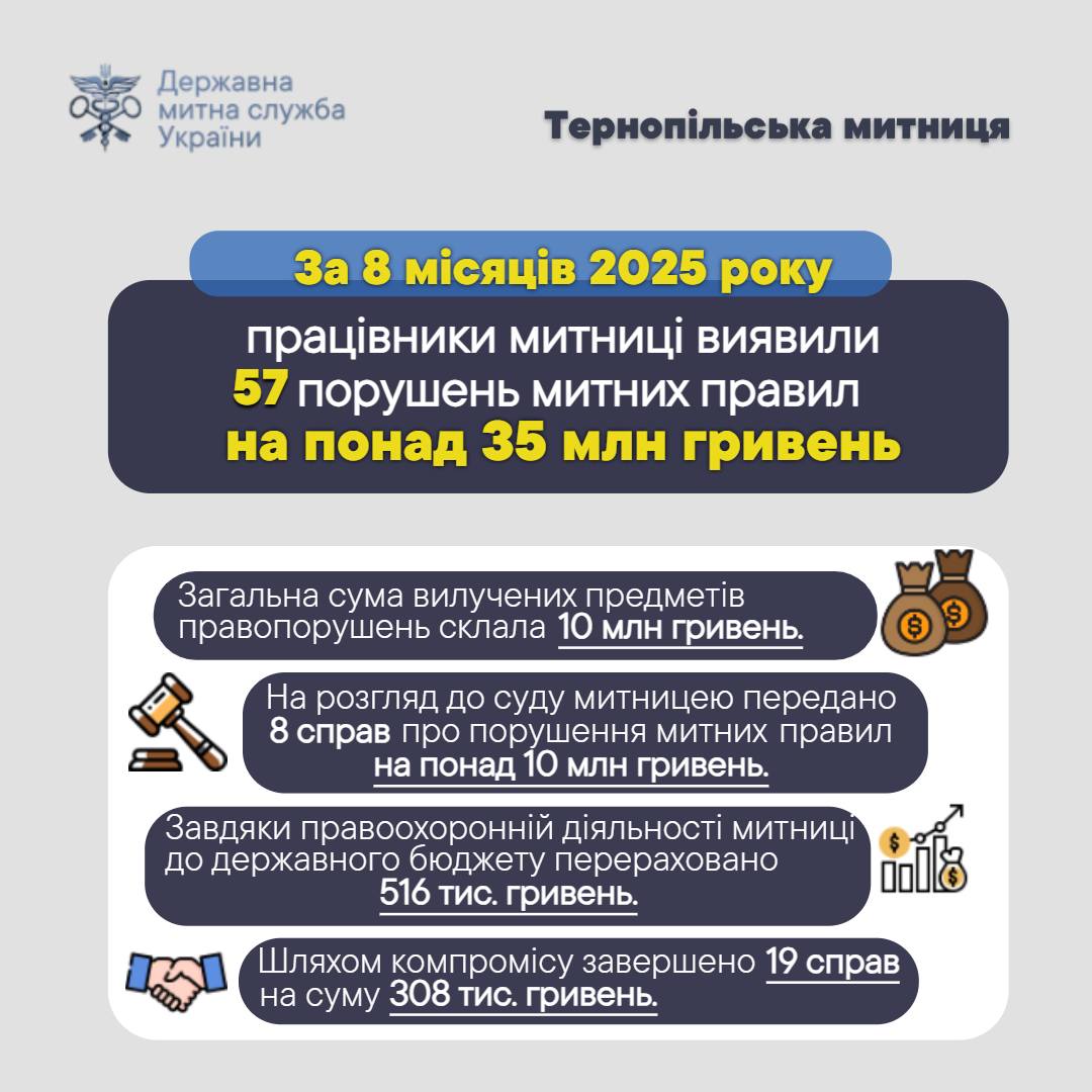 Митники виявили порушення на 35 млн грн на Тернопільщині