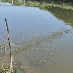 Ternopil fish protection patrol on the lake shore